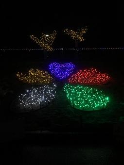 いくとぴあ 食花 ライトアップ① いくとぴあ 食花 ライトアップ①の写真