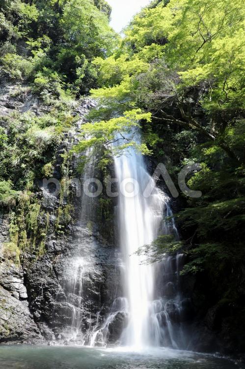  箕面の滝 1 箕面の滝,大阪,滝の写真素材