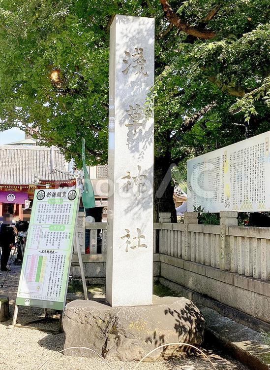 東京風景・浅草神社 浅草神社,神社,鳥居の写真素材