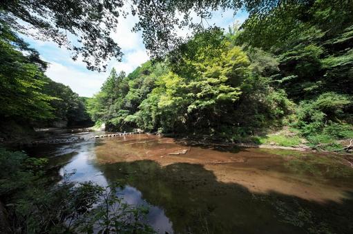 養老渓谷 養老川 養老渓谷 養老川の写真