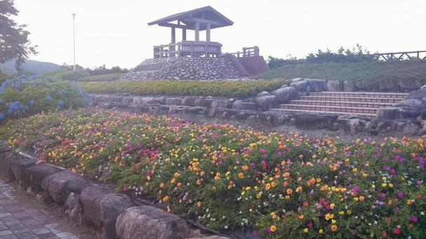 景色(田舎) 景色(田舎)の写真
