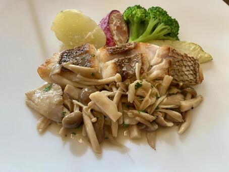 たっぷりきのこソースをかけた真鯛のポワレ 食事,おいしい,真鯛の写真素材