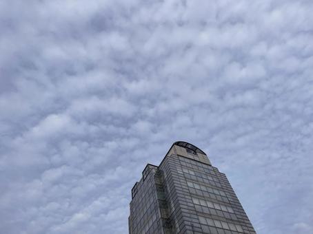 神田川11月：小滝橋のひつじ雲 2025 ビル,空,ひつじ雲の写真素材