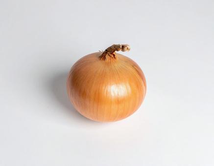 玉ねぎ 単品 5 玉ねぎ 単品 5の写真