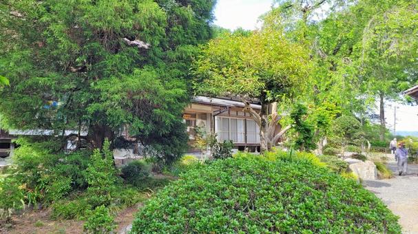 Photo, kyushang temple, iwataniyama, garden, 