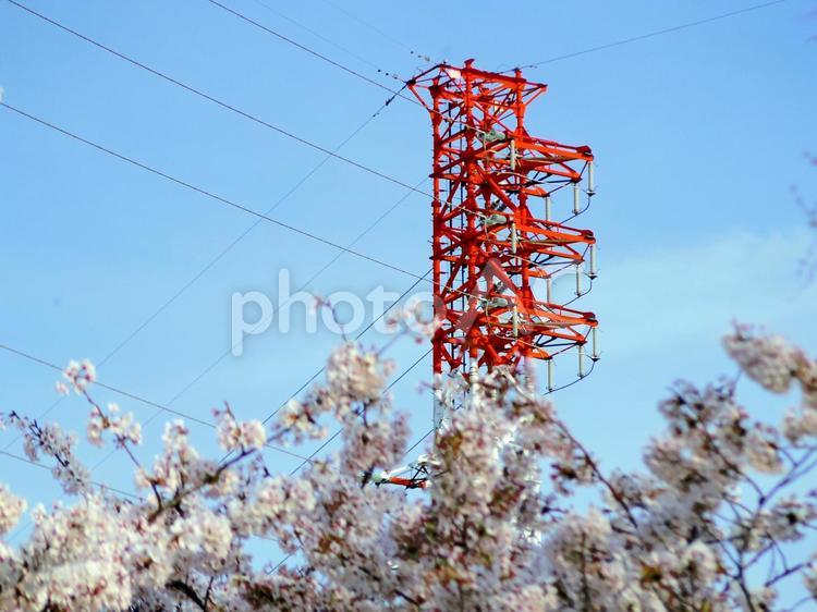 鉄塔がある風景 鉄塔,送電線,電線の写真素材