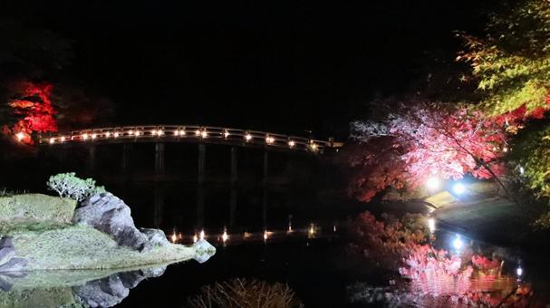 虹の郷　池に映る紅葉ライトアップ 紅葉,ライトアップ,秋の写真素材