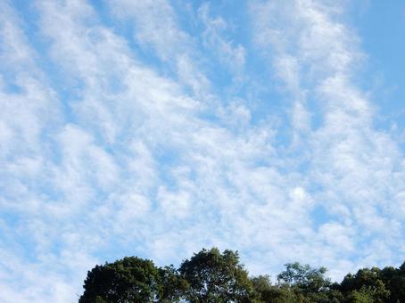 【空の写真】秋空 【空の写真】秋空 秋空,空,雲の写真素材
