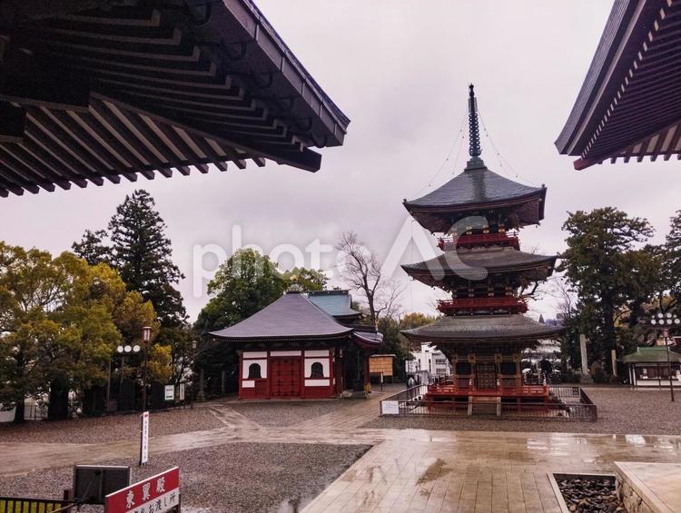雨模様の三重塔 三重塔,雨天,雨の写真素材