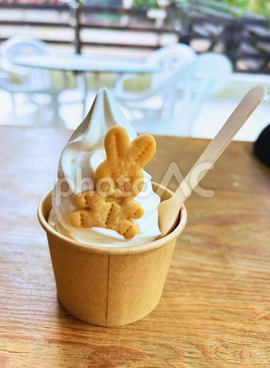 北海道のソフトクリームとうさぎ ソフトクリーム,カップ,うさぎクッキーの写真素材