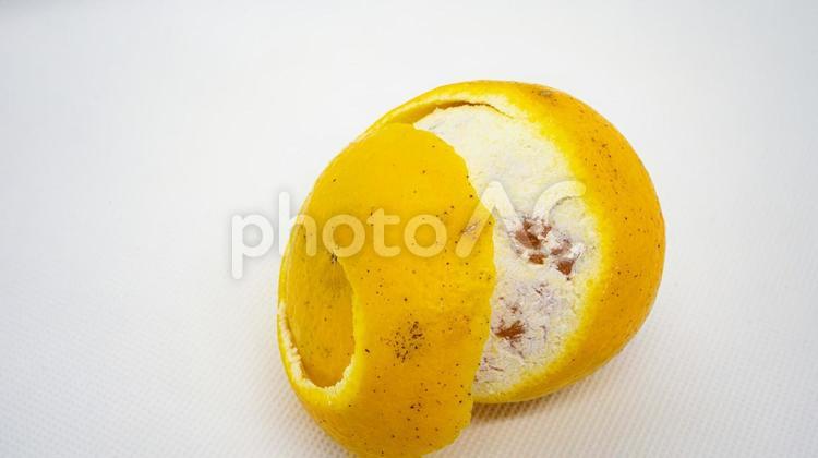 伊豆の春・はるひ　皮むき 伊豆の春,はるひ,果物の写真素材
