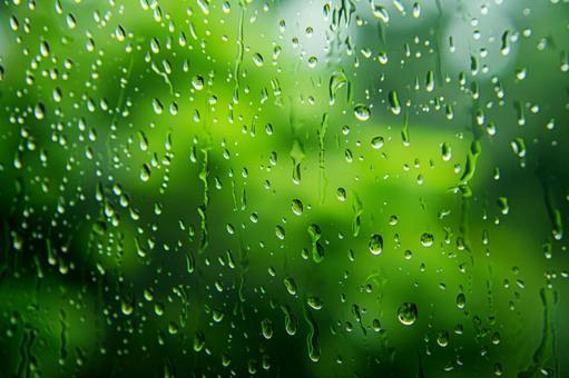 雨粒と窓越しの緑 雨粒と窓越しの緑の写真