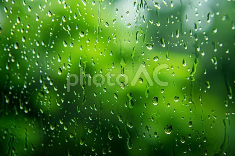 雨粒と窓越しの緑 雨粒,窓,ボケの写真素材