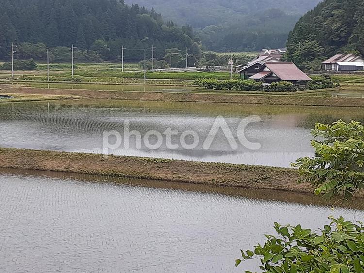田園風景 田,田んぼ,田舎の写真素材