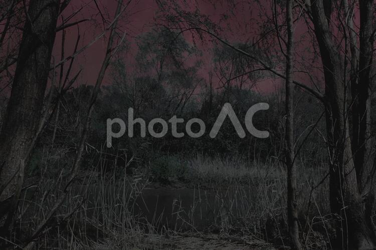 自然環境のホラーイメージ背景 背景,ホラー,ハロウィンの写真素材