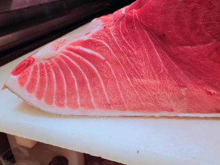 本まぐろ 腹身の断面 本まぐろ 腹身の断面 本マグロ,魚,トロの写真素材