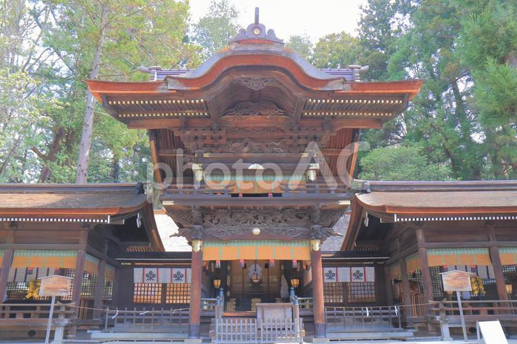 長野県　諏訪大社 諏訪大社,寺,長野の写真素材