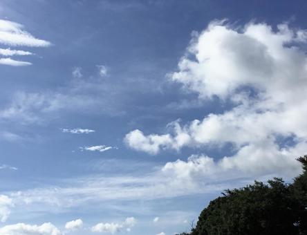 雨上がりの朝 雨上がりの朝の写真