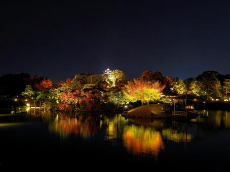 後楽園から見るライトアップされた岡山城 後楽園,岡山城,ライトアップの写真素材
