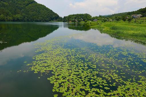 中綱湖2 中綱湖2の写真