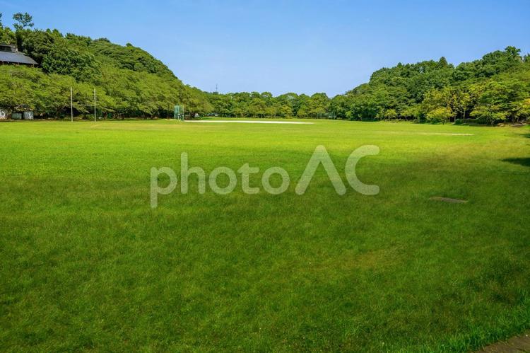 公園の新緑と青空 風景,公園,アウトドアの写真素材