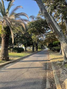 秋の空 空,のどか,静かの写真素材