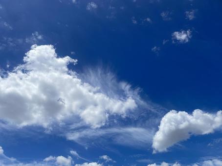 夏の青空 夏の青空の写真