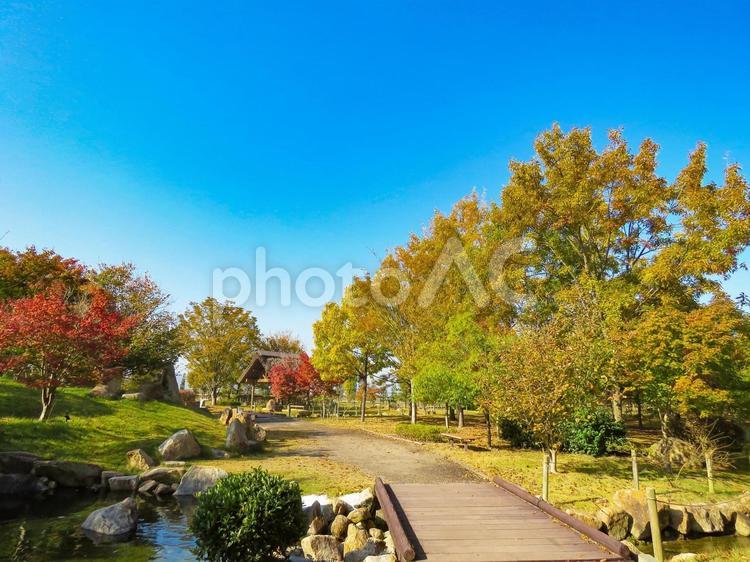 秋イメージ〜秋の公園の風景 秋イメージ,秋,紅葉の写真素材