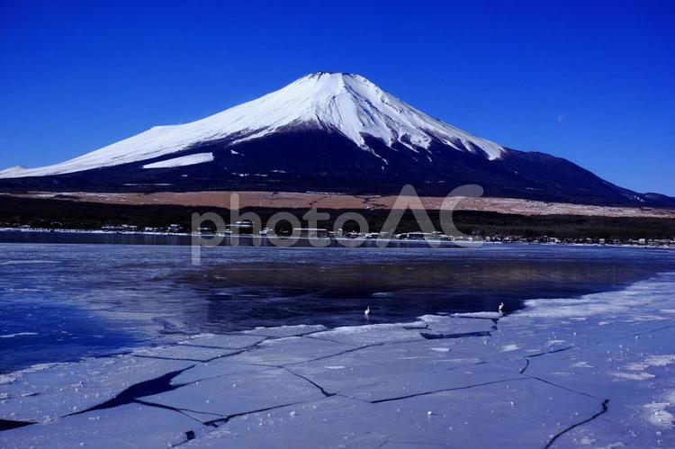 山中湖湖畔から見る富士山 富士山,山中湖,氷結の写真素材