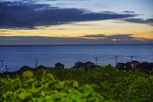海沿いの夕景、緑を添えて 夕暮れ,夕焼け,海の写真素材