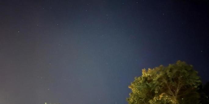 森と星空 森と星空の写真