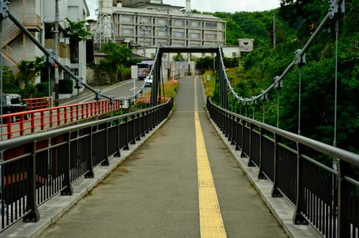 吊り橋 吊り橋,吊橋,橋の写真素材