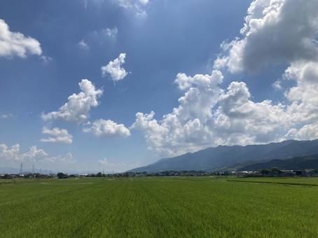 夏の日 夏の日の写真