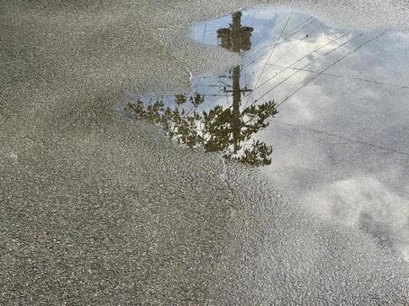 雨上がりの水たまり 雨上がりの水たまり 水たまり,雨上がり,雨の写真素材