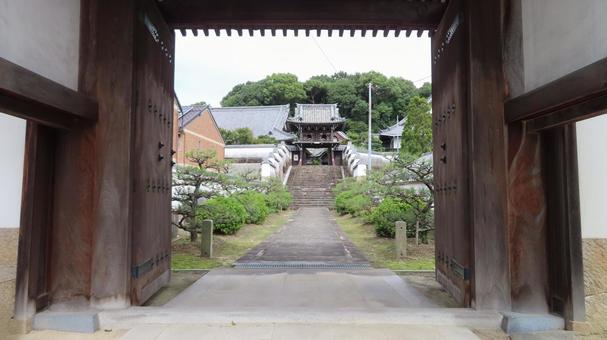 隨念寺 山門から鐘楼門 隨念寺 山門から鐘楼門 隨念寺,神社仏閣,寺の写真素材