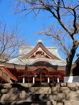 秋の布施弁天・本堂(千葉県・柏市) 秋の布施弁天・本堂(千葉県・柏市) 秋,紅龍山,布施弁天の写真素材