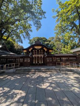 護王神社 護王神社,京都,風景の写真素材
