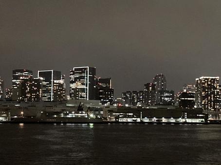 東京湾夜景 東京湾夜景の写真