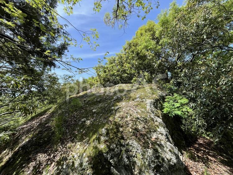 新緑の中の山の岩 春,山,青空の写真素材