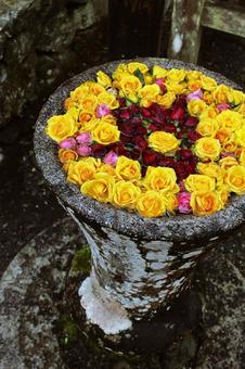 バラの花手水 バラの花手水 自然,カラフル,浮かぶの写真素材
