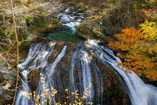 秋の関山大滝⒄ 秋,紅葉,滝の写真素材