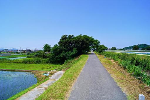 田舎の風景 里山,自然,田んぼの写真素材