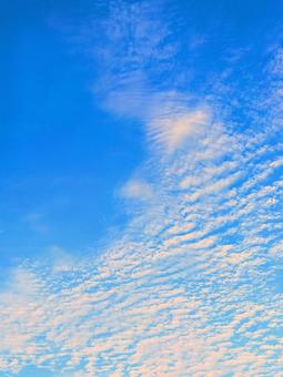 うろこ雲の写真