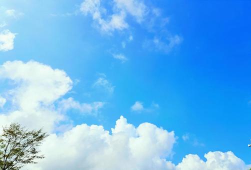 さわやかな夏の空 さわやかな夏の空の写真