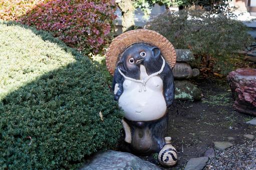 信楽焼～たぬき～ 信楽焼,狸の焼き物,狸の写真素材