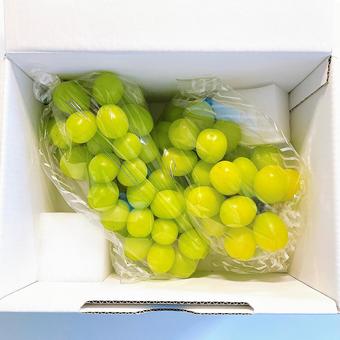 シャインマスカット_001_R0278 食べ物,果物,マスカットの写真素材