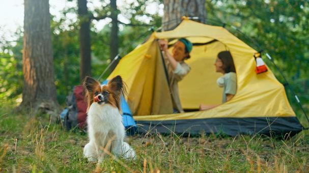 テント前にいる犬とテントの中の男女の写真