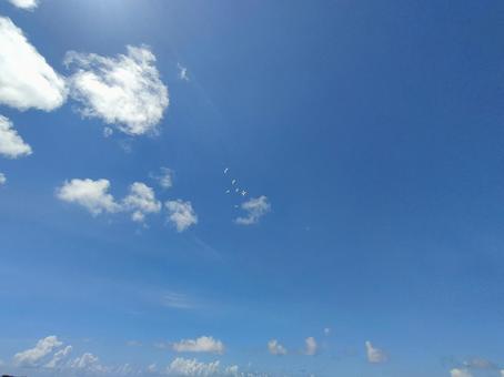 空と白い鳥の群れ 空と白い鳥の群れの写真