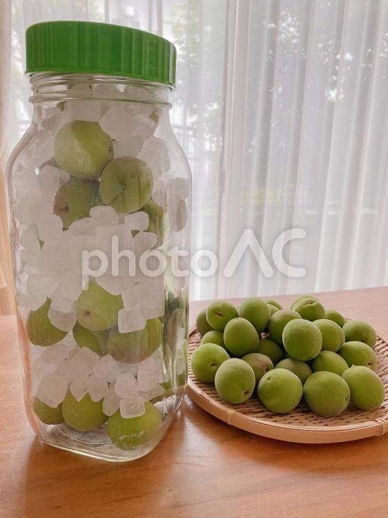 梅シロップと青梅 梅シロップ,青梅,沢山の写真素材