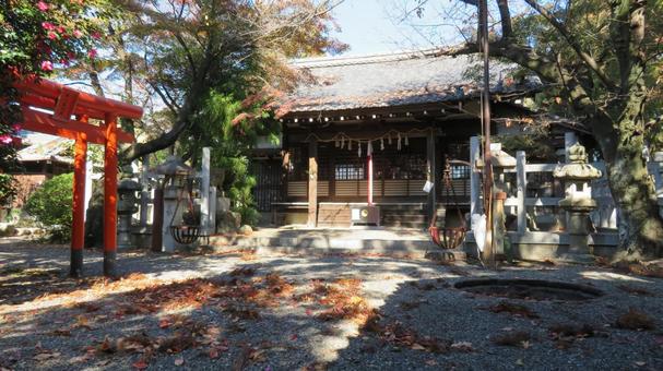 天武天皇社 境内の風景 社殿 天武天皇社 境内の風景 社殿の写真